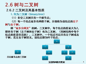 软件技术基础与开发 第2章（5）树与二叉树在基础软件开发中的应用